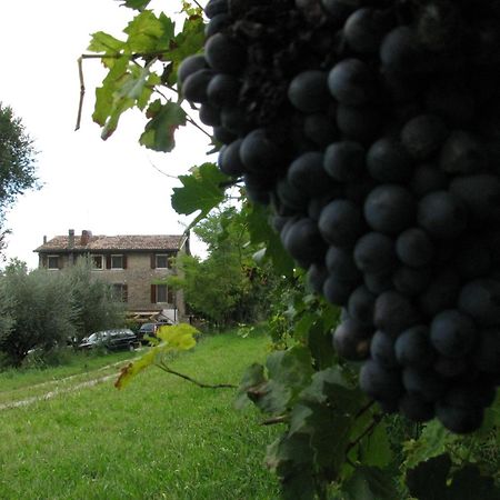 Salionze I Vigneti Bed & Breakfast מראה חיצוני תמונה