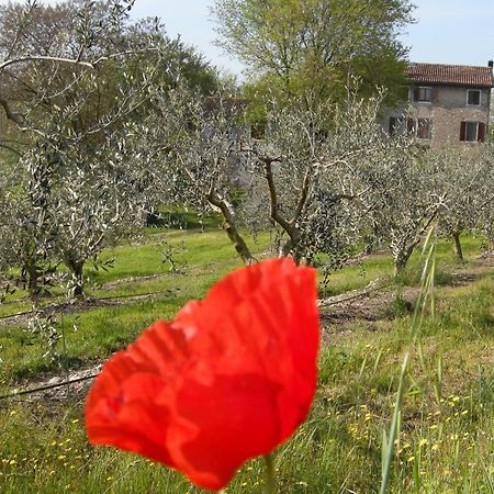 Salionze I Vigneti Bed & Breakfast מראה חיצוני תמונה
